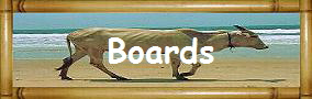 Boards