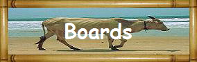 Boards