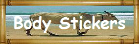 Body Stickers