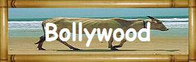Bollywood