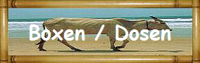 Boxen / Dosen