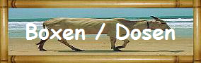 Boxen / Dosen