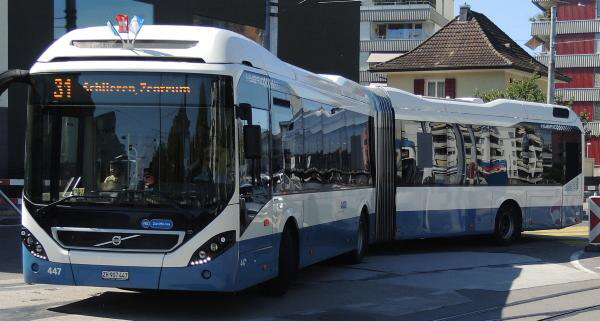 31er Bus