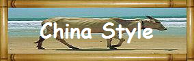 China Style