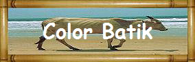 Color Batik