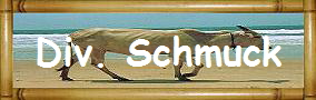 Div. Schmuck