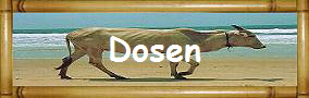 Dosen