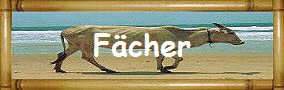 F�cher