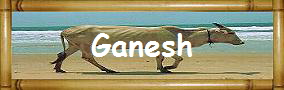 Ganesh