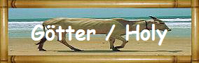 G�tter / Holy