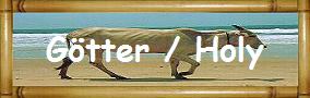 G�tter / Holy