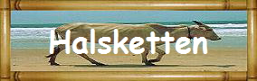 Halsketten