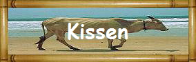 Kissen