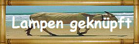 Lampen gekn�pft
