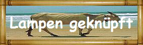 Lampen gekn�pft