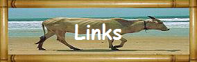 Links