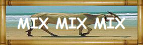 MIX MIX MIX