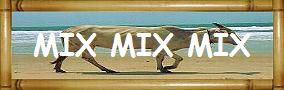 MIX MIX MIX