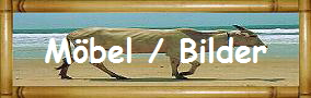 M�bel / Bilder