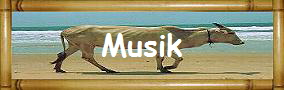 Musik