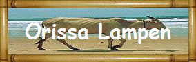 Orissa Lampen