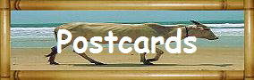 Postcards