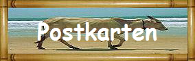 Postkarten