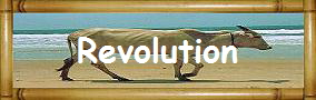 Revolution