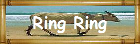Ring Ring