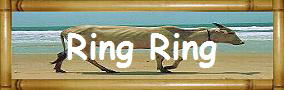 Ring Ring