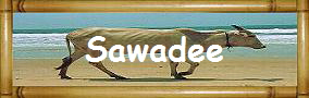 Sawadee