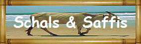 Schals & Saffis