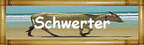 Schwerter
