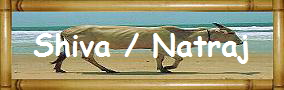 Shiva / Natraj