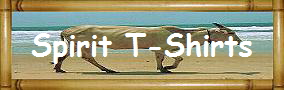 Spirit T-Shirts