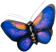 Schmetterling Magnet