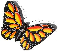 Schmetterling Magnet
