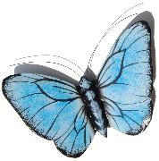 Schmetterling Magnet