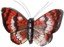 Schmetterling Magnet