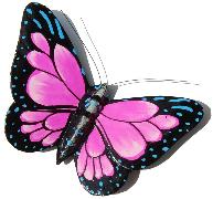 Schmetterling Magnet