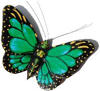 Schmetterling Magnet
