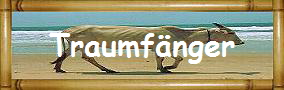 Traumf�nger