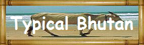 Typical Bhutan