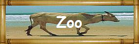 Zoo