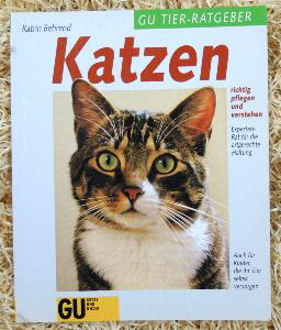 Katzen 60 Seiten