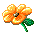 blume blume