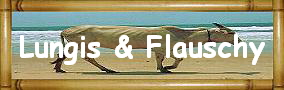 Lungis & Flauschy