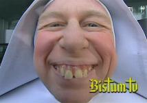 Bistum Bistum