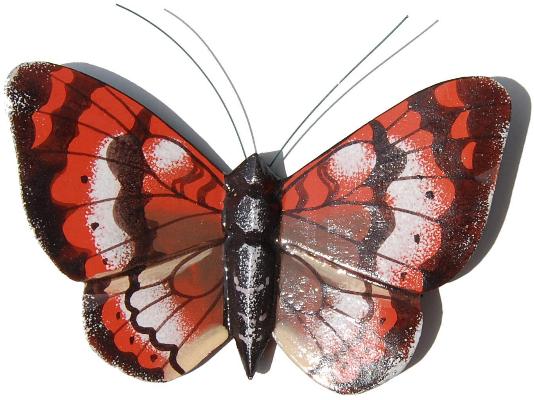 Schmetterling Magnet