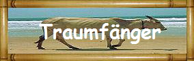 Traumf�nger